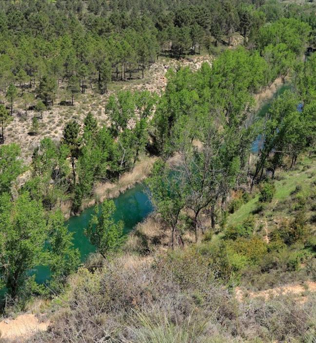 San Pedro Palmiches Casa Rural Guadiela מראה חיצוני תמונה